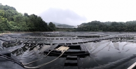 新利luck18(中国)体育·官方网站